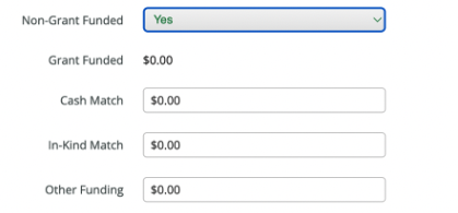Budget Item Non-Grant Funded