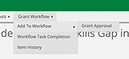 Workflow Instance