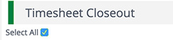 Timesheet Closeout