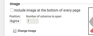 Page Footer Image